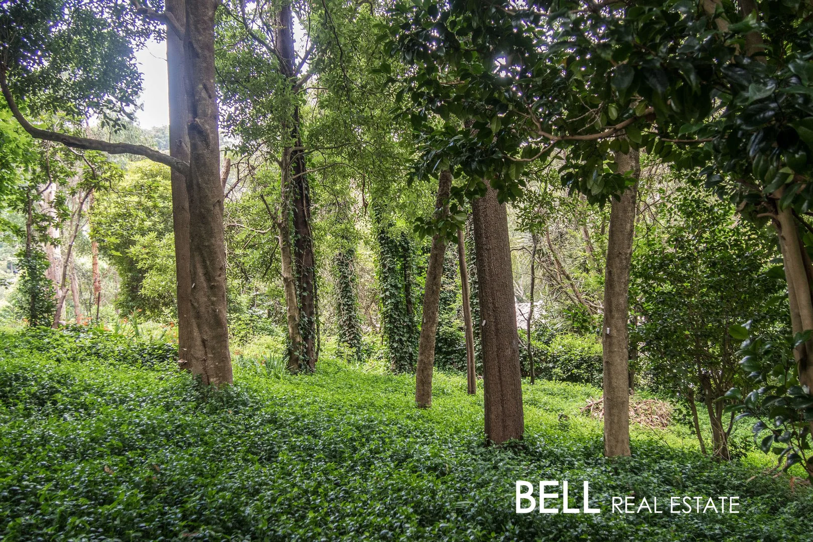 Additional image 11 of 15 Wedgewood Avenue, Belgrave VIC 3160