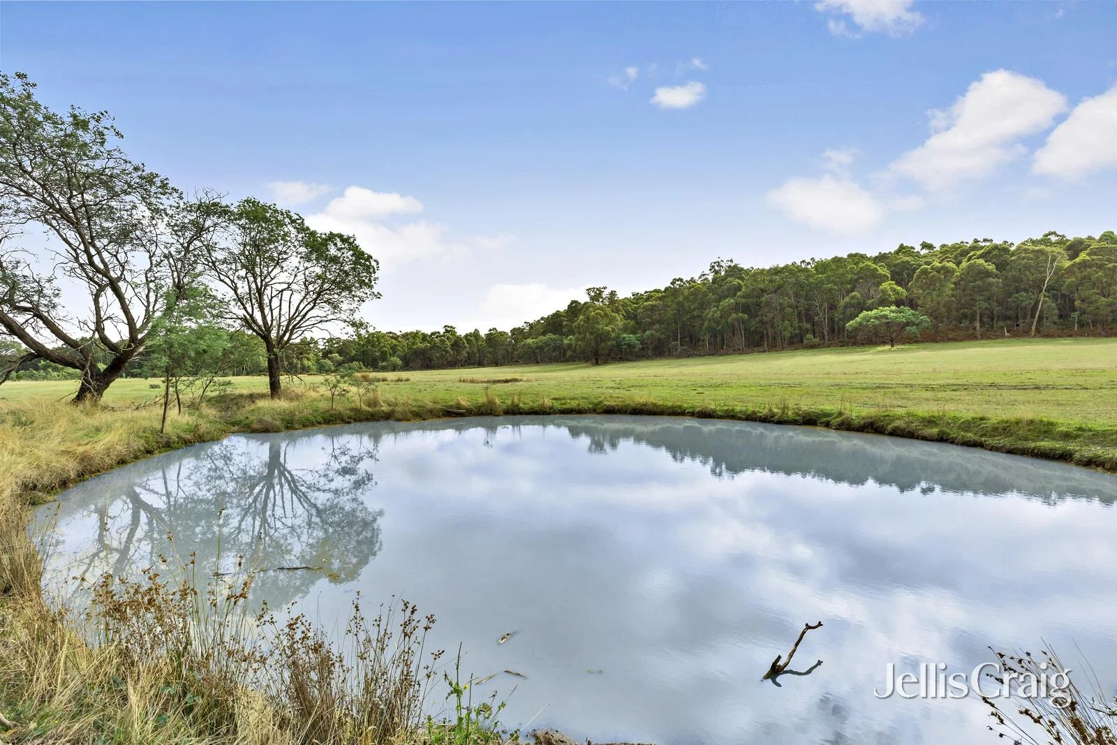 Additional image 6 of 85 Lightwood Drive, Wheatsheaf VIC 3461