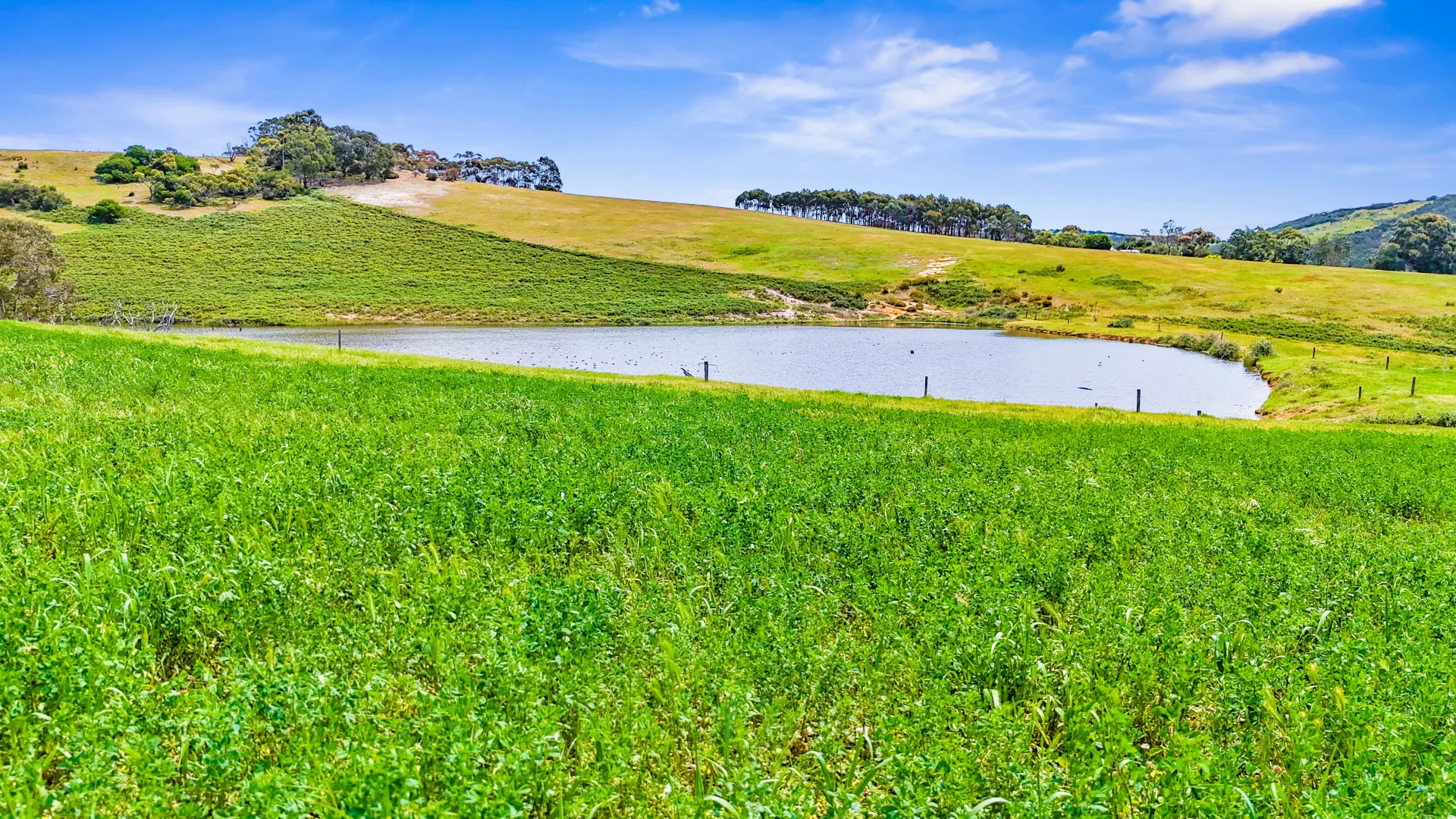 Additional image 4 of 700 Cleland Gully Road, Tooperang SA 5255