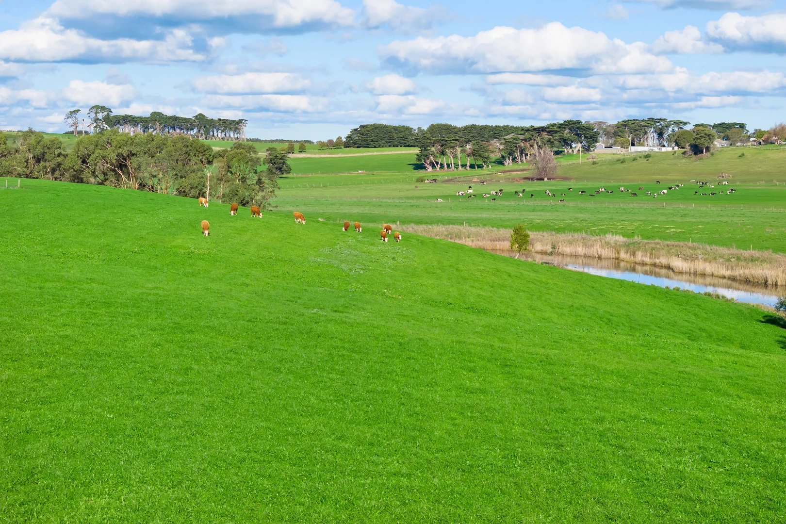 Additional image 28 of 63 Kellys Road, Panmure VIC 3265