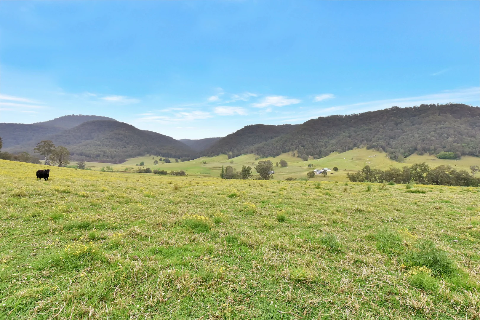 Additional image 10 of 1473 Watagan Creek Road, Laguna NSW 2325