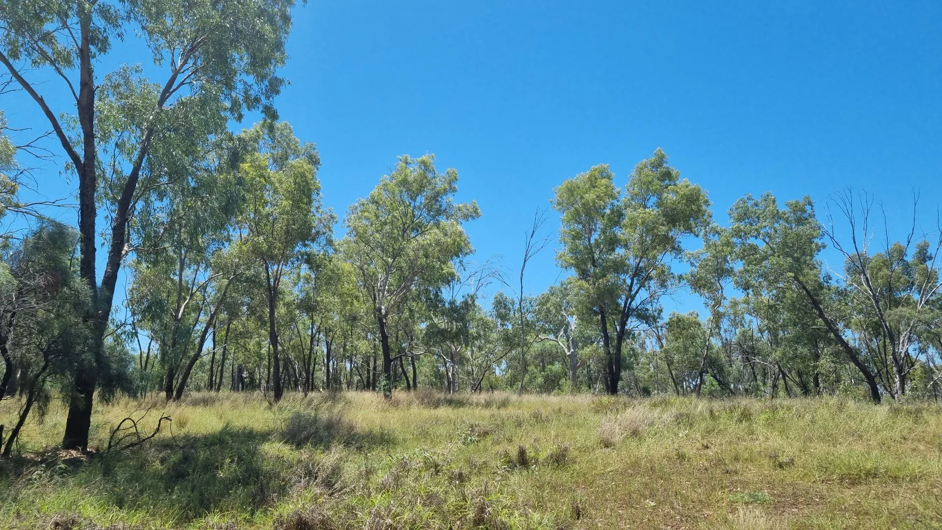 Additional image 24 of 202-410 Wallal Street, Bakers Bend QLD 4470