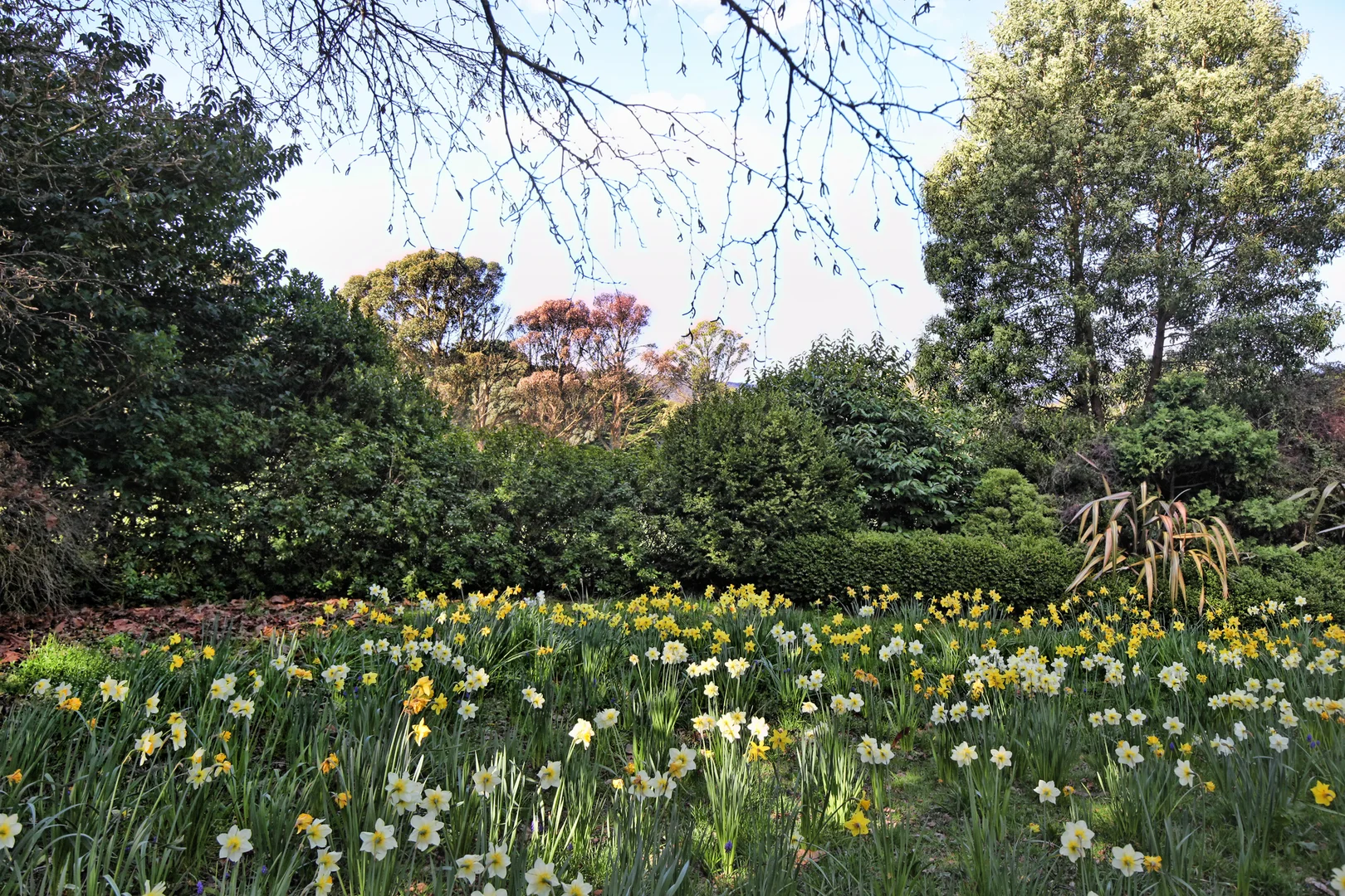 Additional image 13 of 131 Shannons Lane, Kerrie VIC 3434