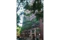 2738 N Pine Grove Ave, Chicago, IL, 60614