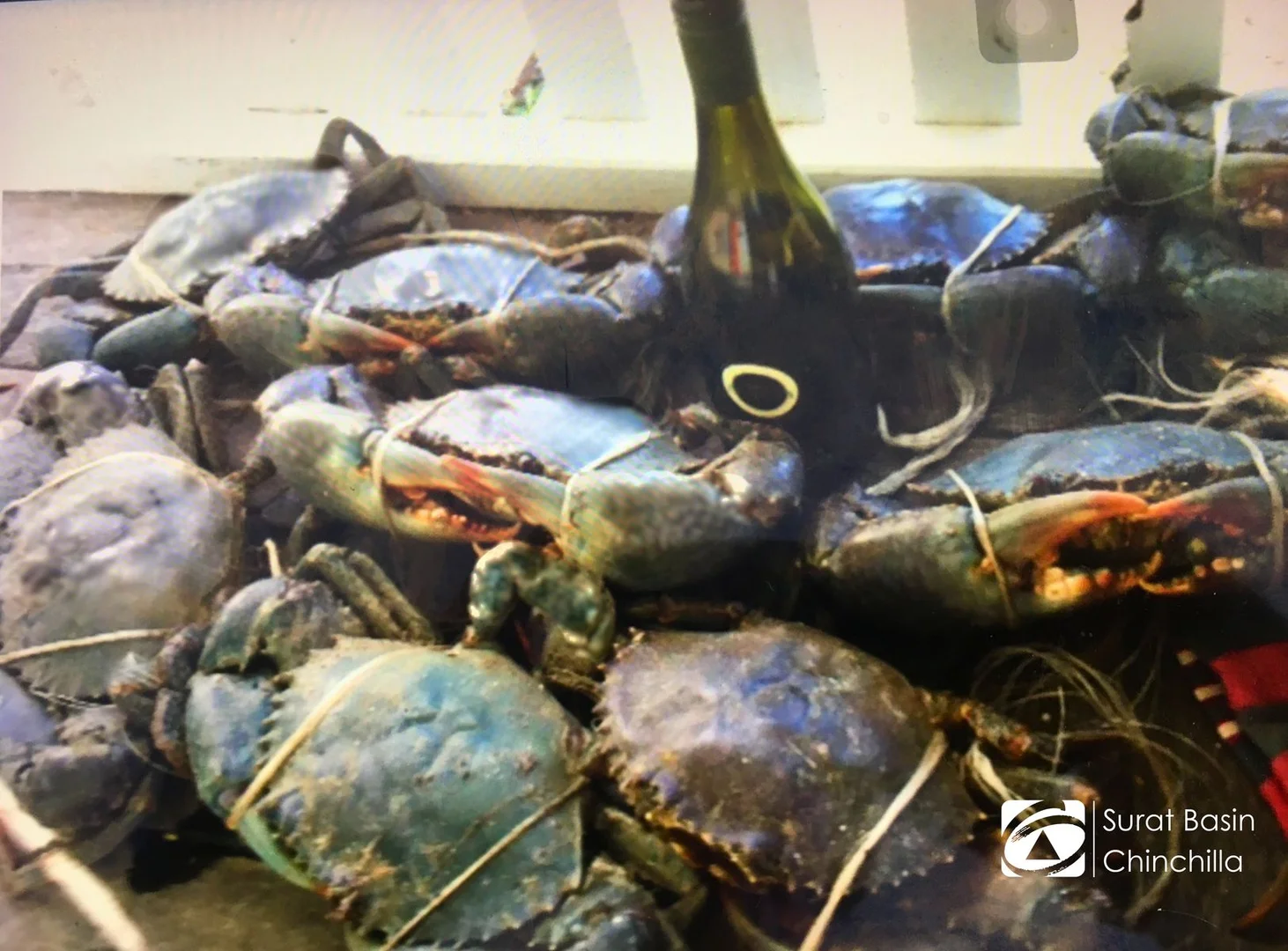 Additional image 12 of Rosewood Island, Broad Sound, St Lawrence QLD 4707