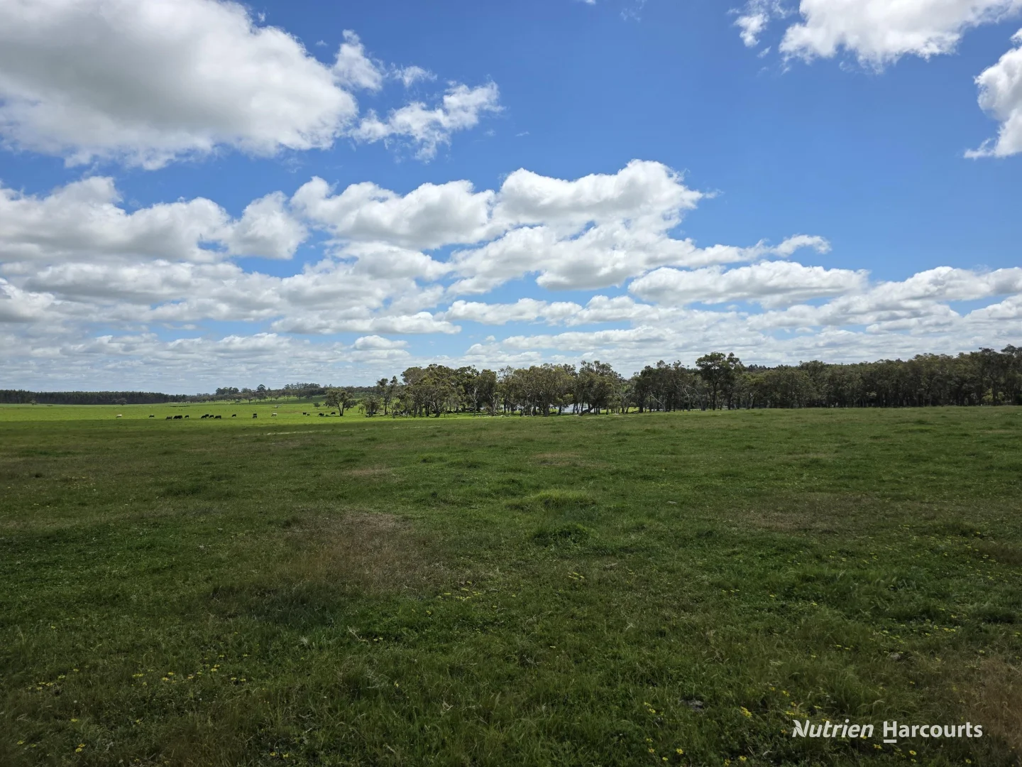 Additional image 27 of 1867 Chester Pass Road, Napier WA 6330