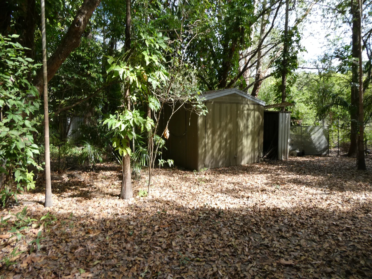 Additional image 24 of Bynoe NT 0822