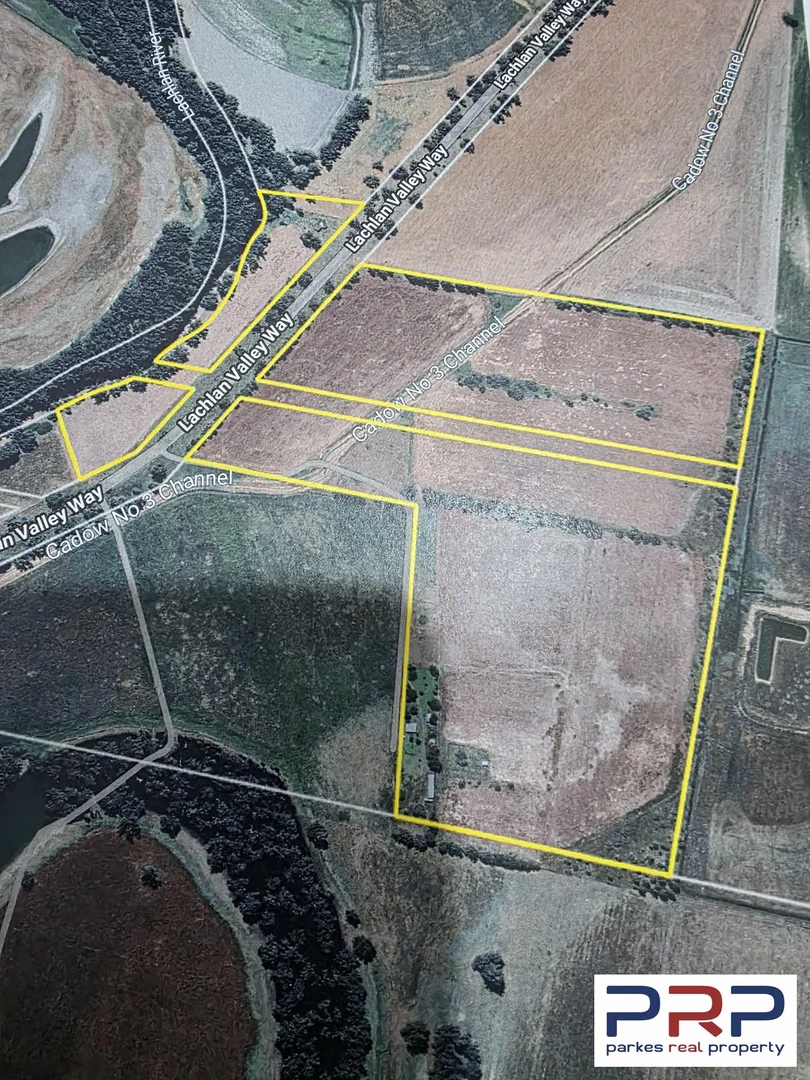 Additional image 12 of 4159 Lachlan Valley Way, Warroo NSW 2871