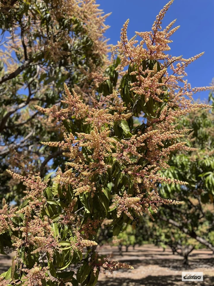 Additional image 3 of 30 Cain Road, Lambells Lagoon NT 0822