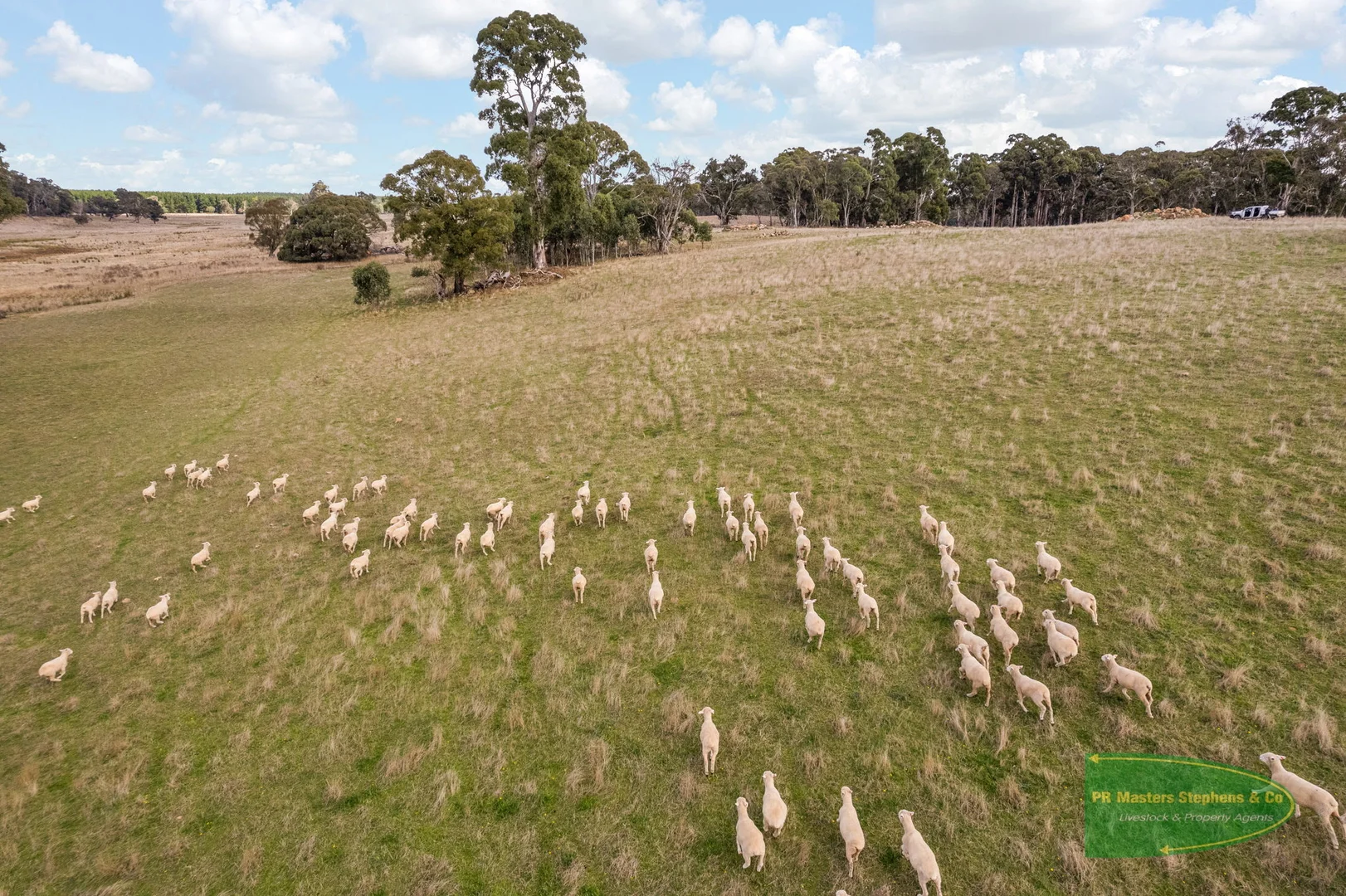 Additional image 28 of 800 Riverview Forest Road, Mozart NSW 2787