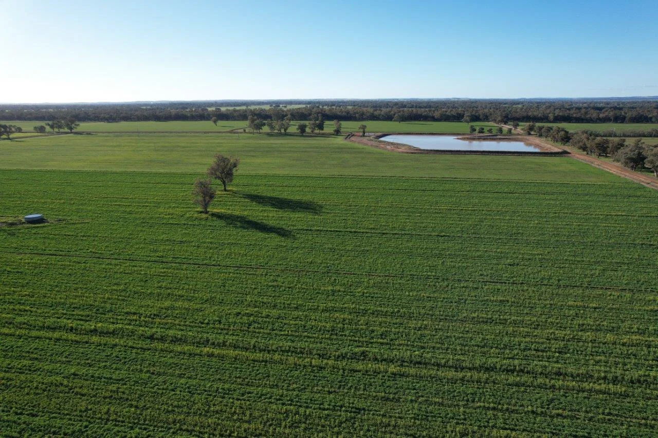 Additional image 3 of 8065 Lachlan Valley Way, Forbes NSW 2871