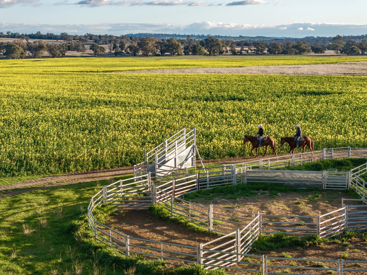 Additional image 11 of Mount Bodangora 5008 Goolma Road, Wellington NSW 2820