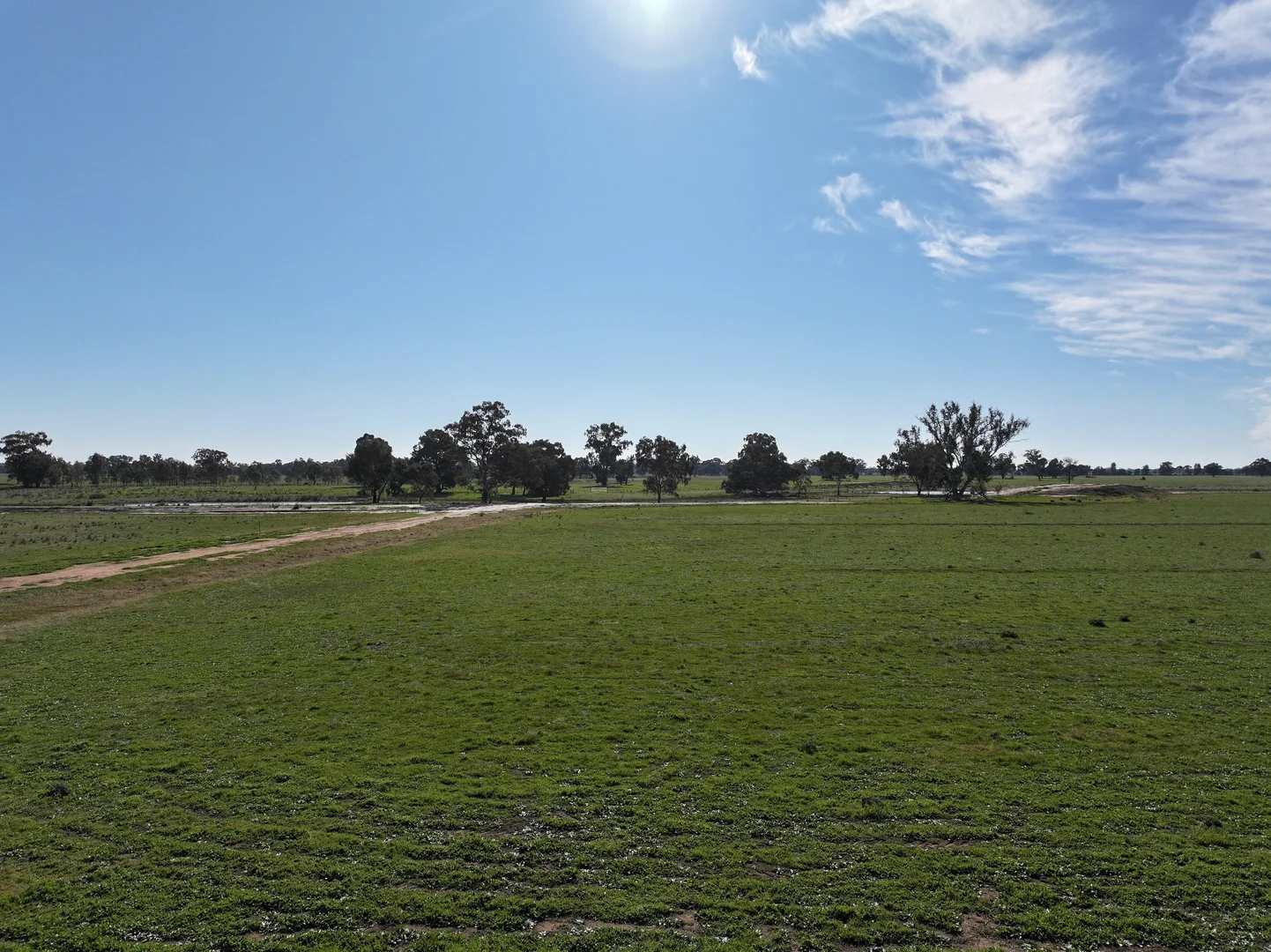 Additional image 18 of Berrigan Oaklands Road, Berrigan NSW 2712