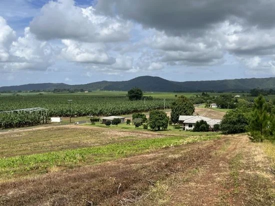 Additional image 22 of 125 Utchee Creek Road, Mena Creek QLD 4871