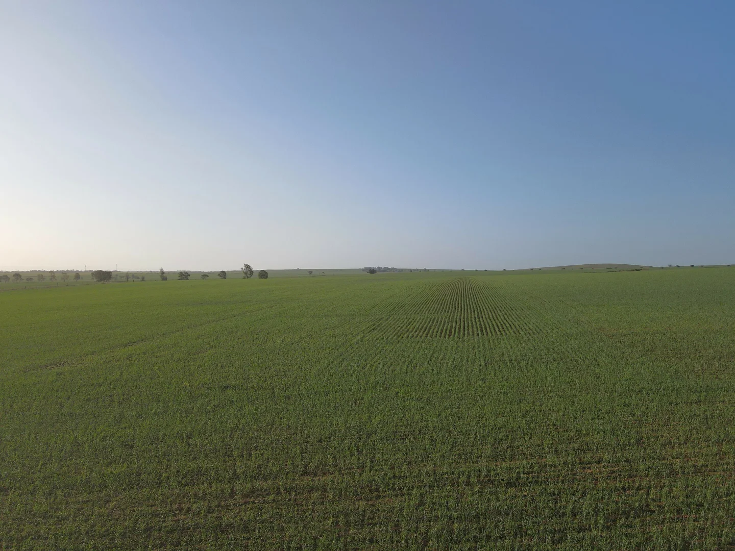 Additional image 14 of 222 Nicholls Rd, Booleroo Centre SA 5482