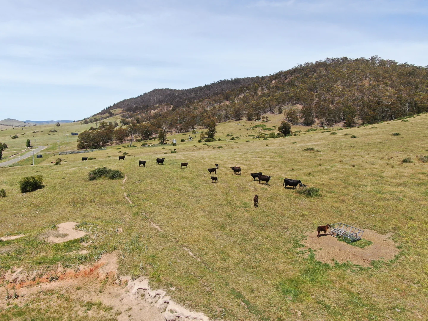 Additional image 2 of 333 Omeo Valley Road, Omeo VIC 3898