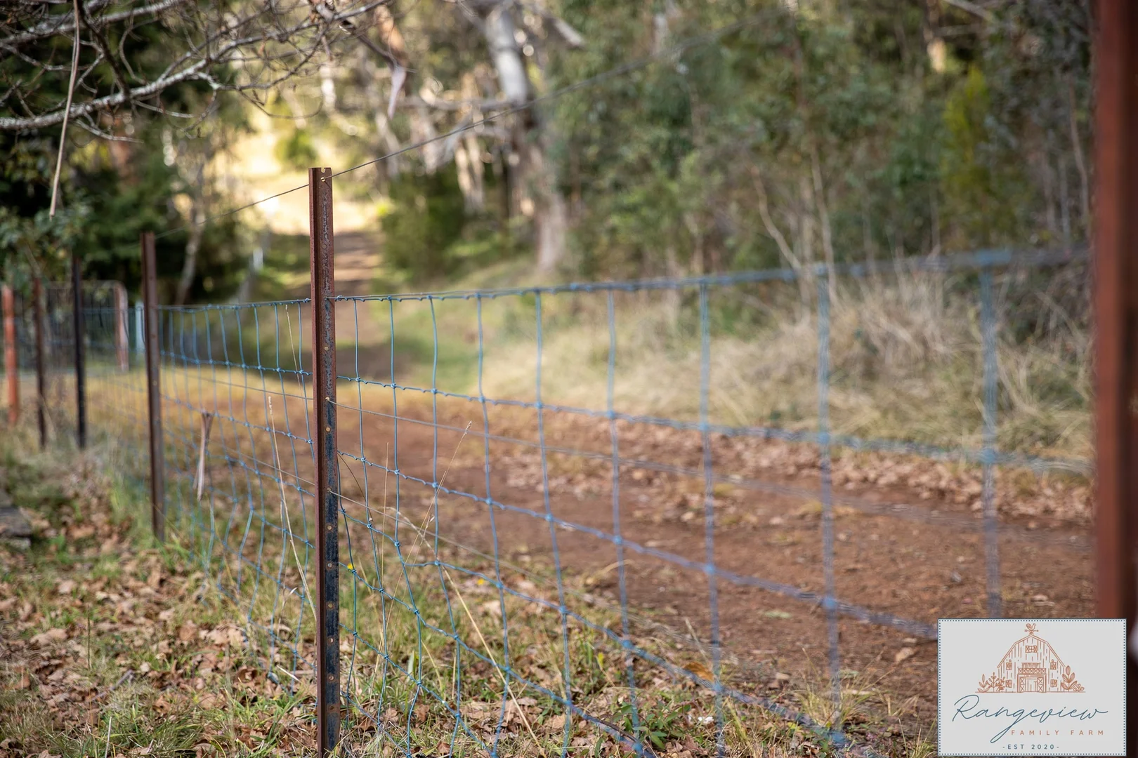 Additional image 21 of 16 Yarrowitch Post Office Road, Walcha NSW 2354