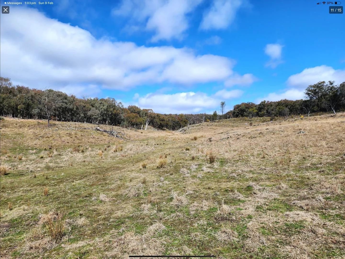 Additional image 16 of "Cummings Gap" Ullamalla road, Mudgee NSW 2850