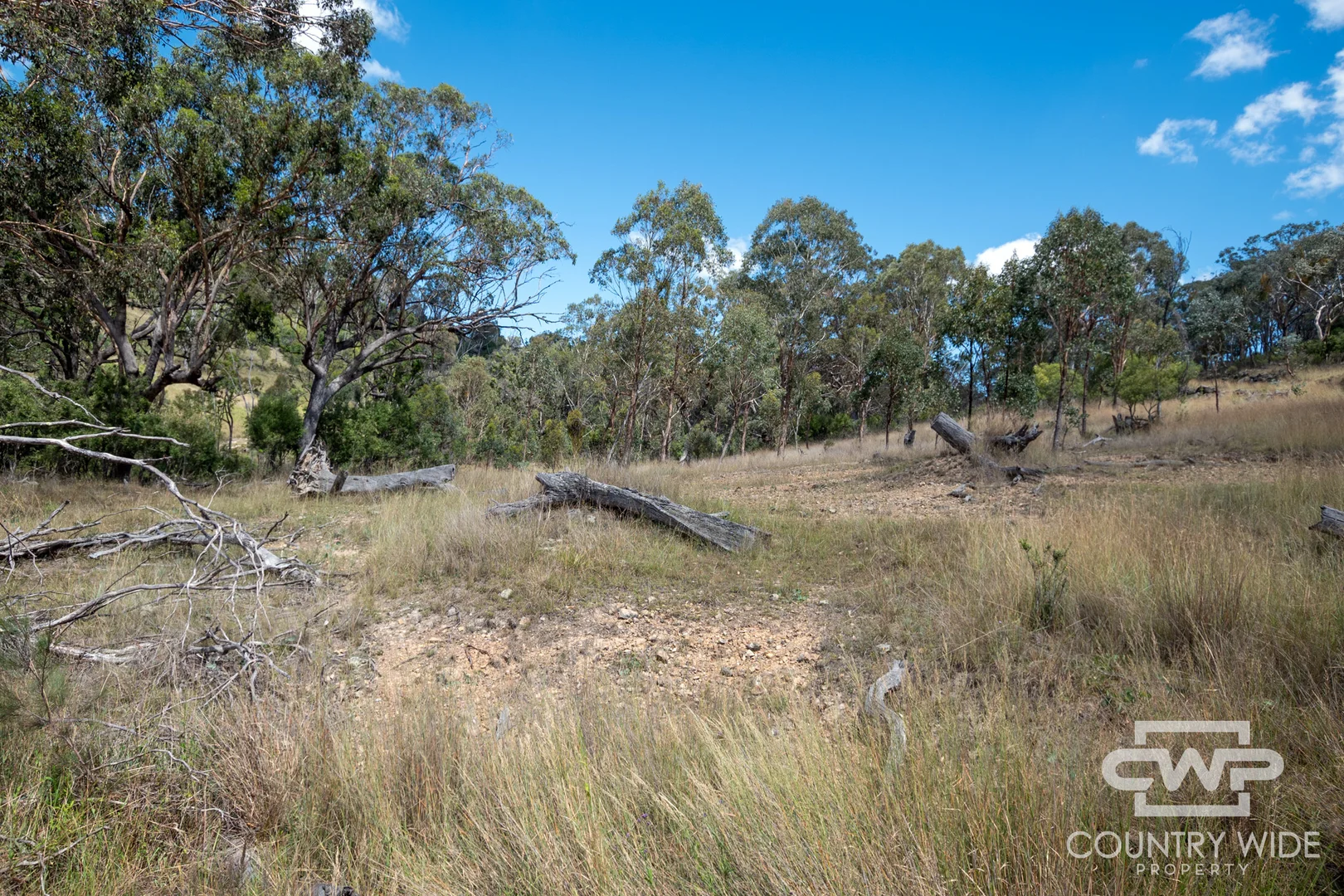Additional image 9 of 82, 4108 Tent Hill Road, Emmaville NSW 2371