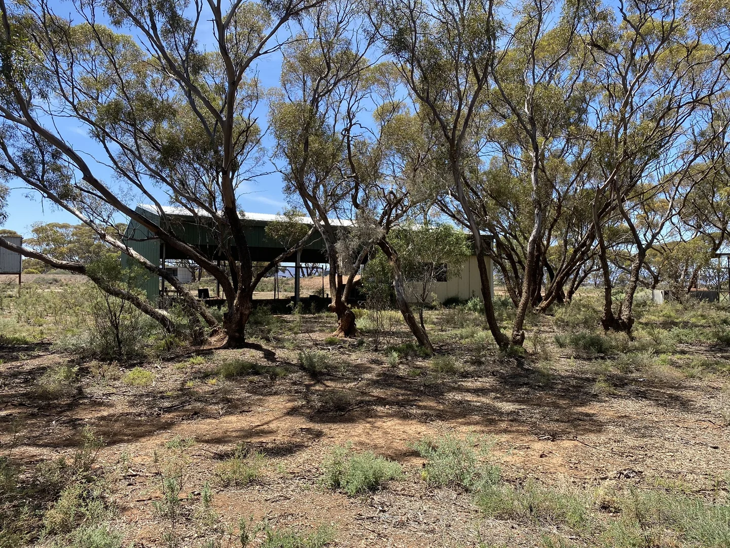 Additional image 20 of 57 Buggy Rd, Baroota SA 5495