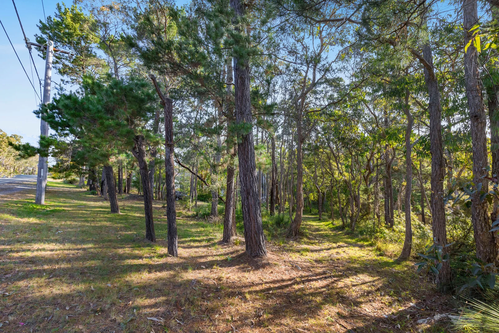 Additional image 3 of 66 West Parade, Buxton NSW 2571