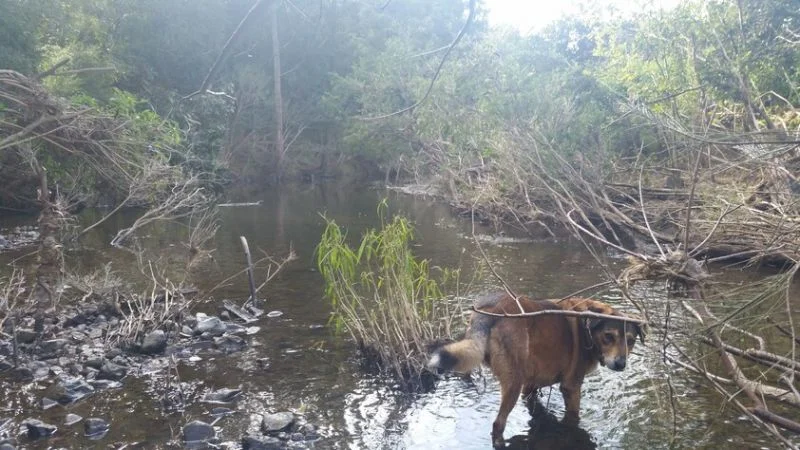 Additional image 35 of Moore QLD 4314