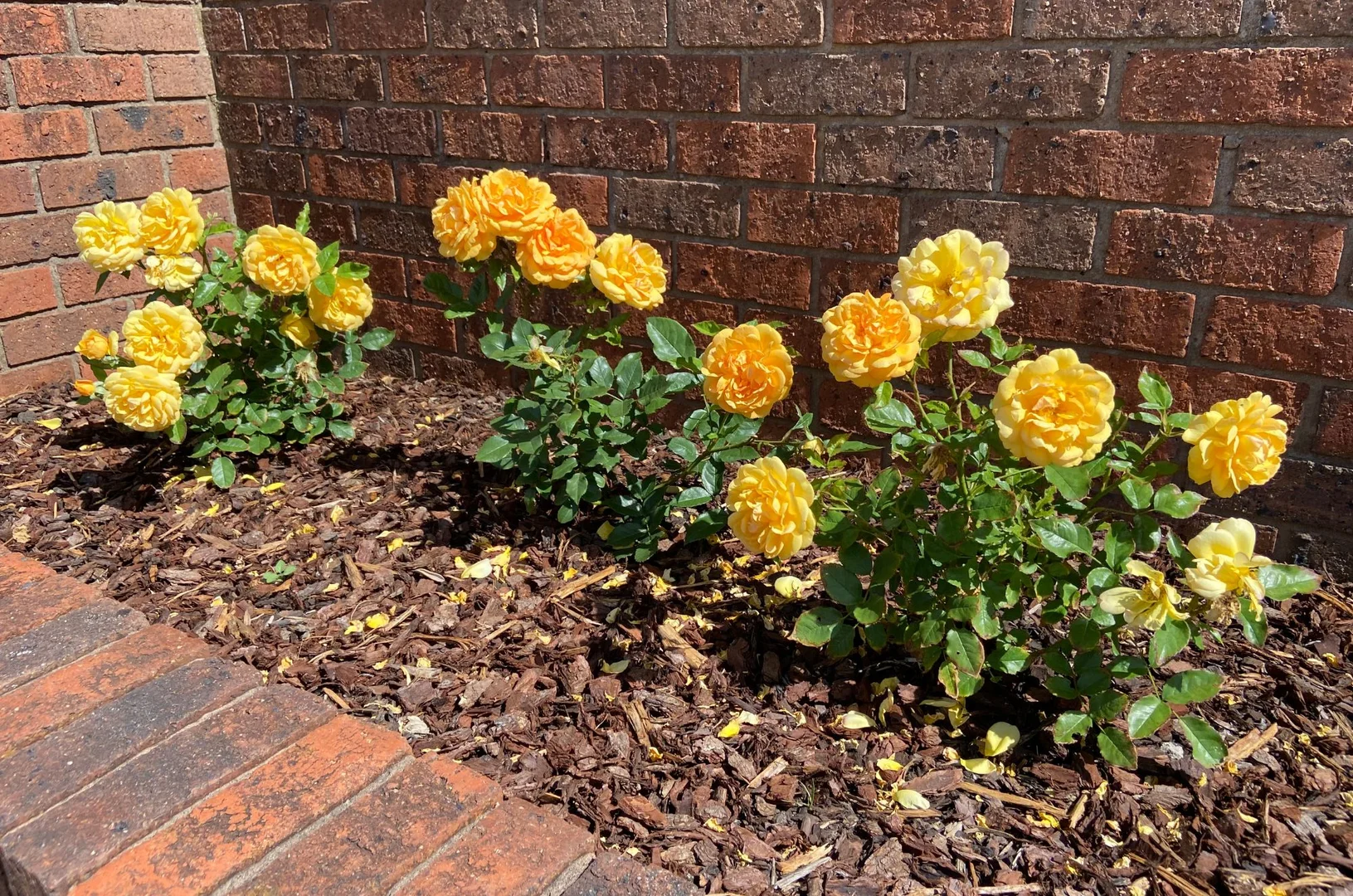 Additional image 27 of 1 Balmoral Street, Portland VIC 3305