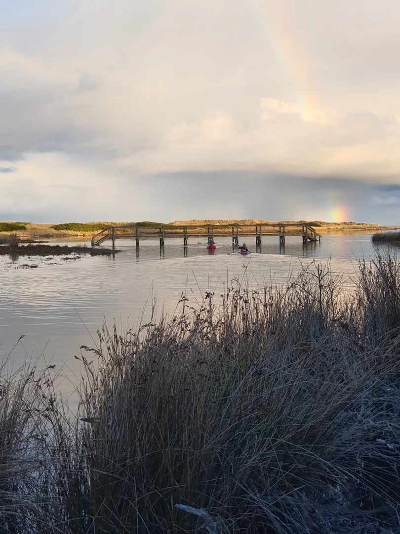 Additional image 34 of 121 Scamander Avenue, Scamander TAS 7215