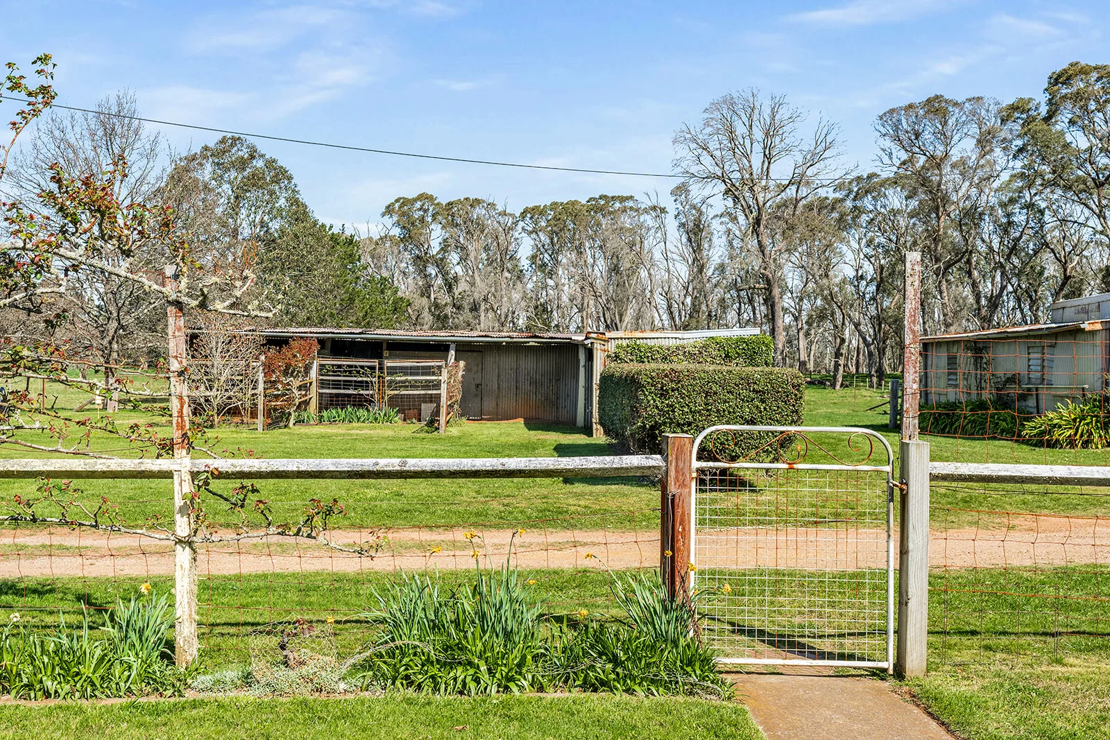 Additional image 7 of 5941 Illawarra Highway, Avoca NSW 2577