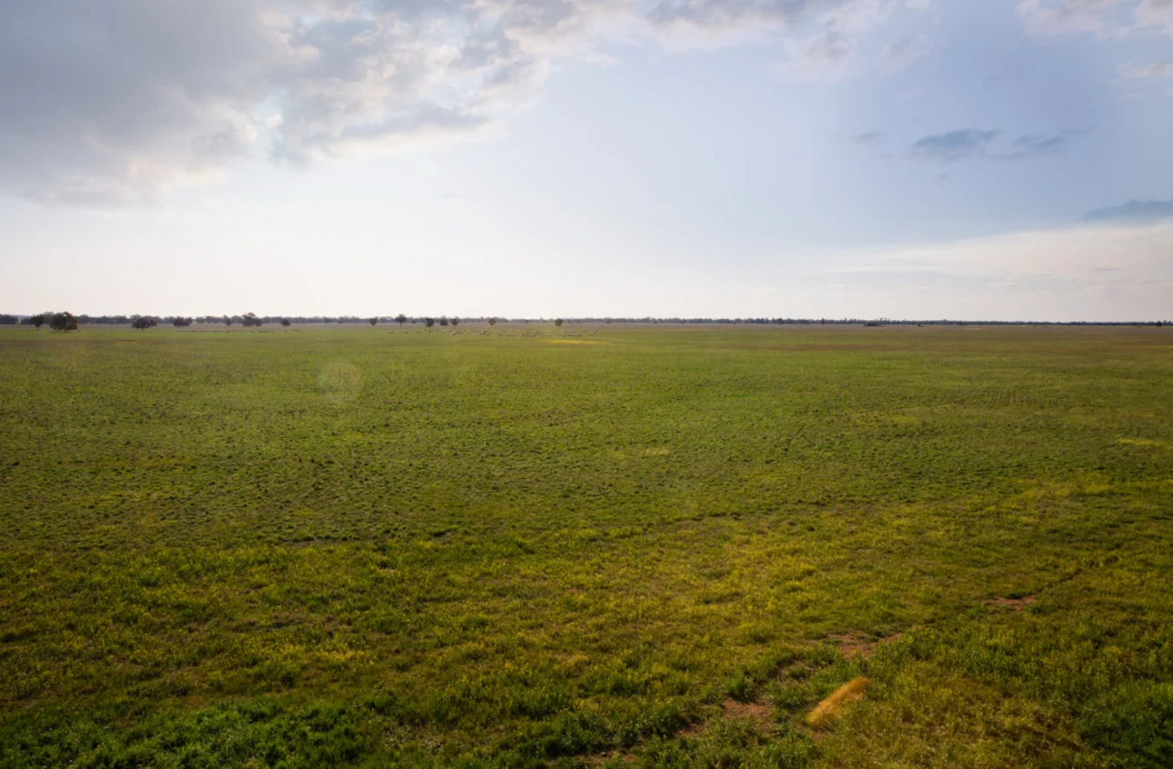 . NEWHAVEN, Burcher NSW 2671
