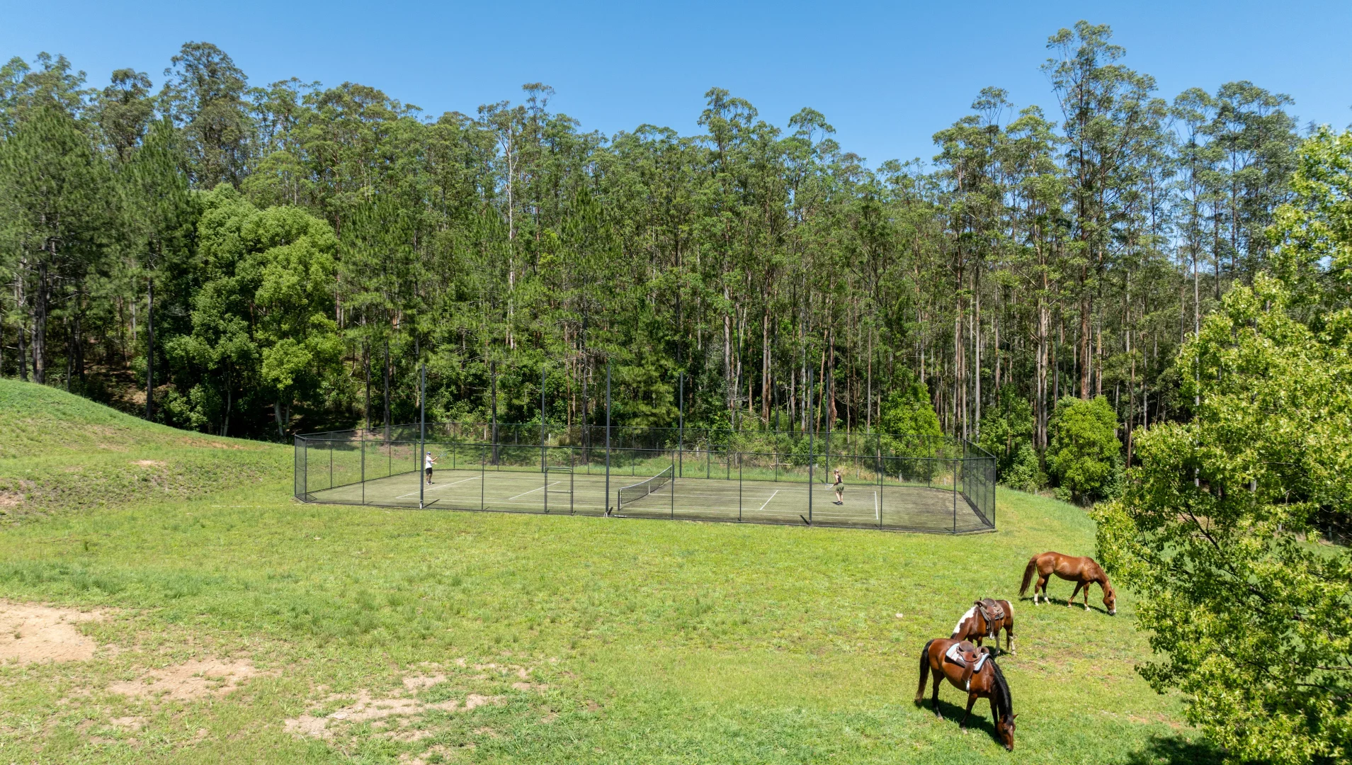Additional image 26 of 2981 Kyogle Road, Kunghur NSW 2484