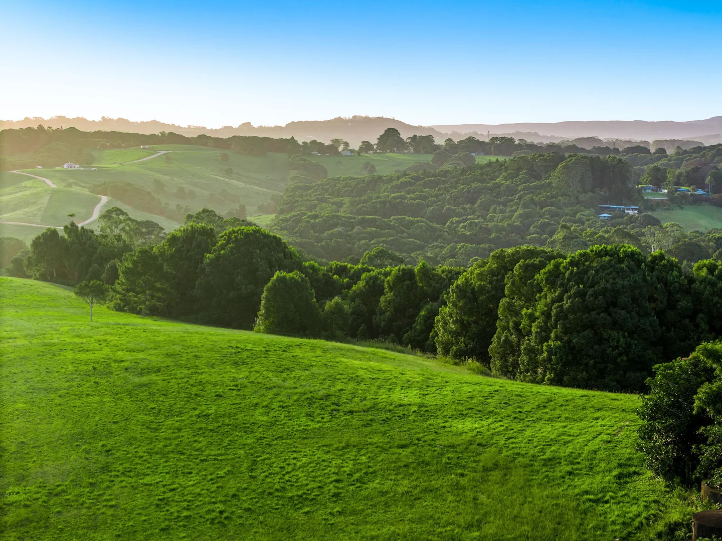 Additional image 23 of 111 Fowlers Lane, Bangalow NSW 2479