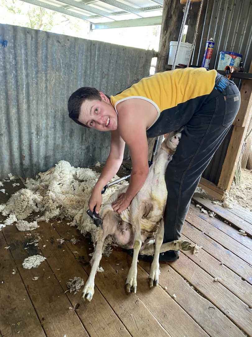 Additional image 82 of 1124 WARKTON ROAD, Coonabarabran NSW 2357