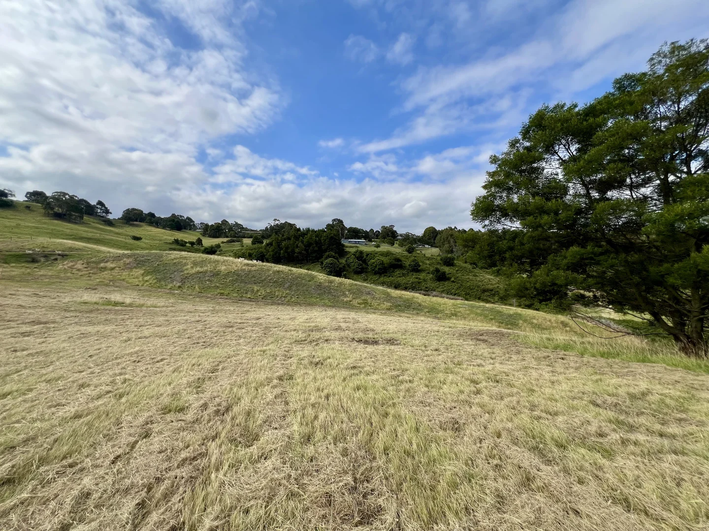 Additional image 9 of 16 Brookers Court, Metung VIC 3904