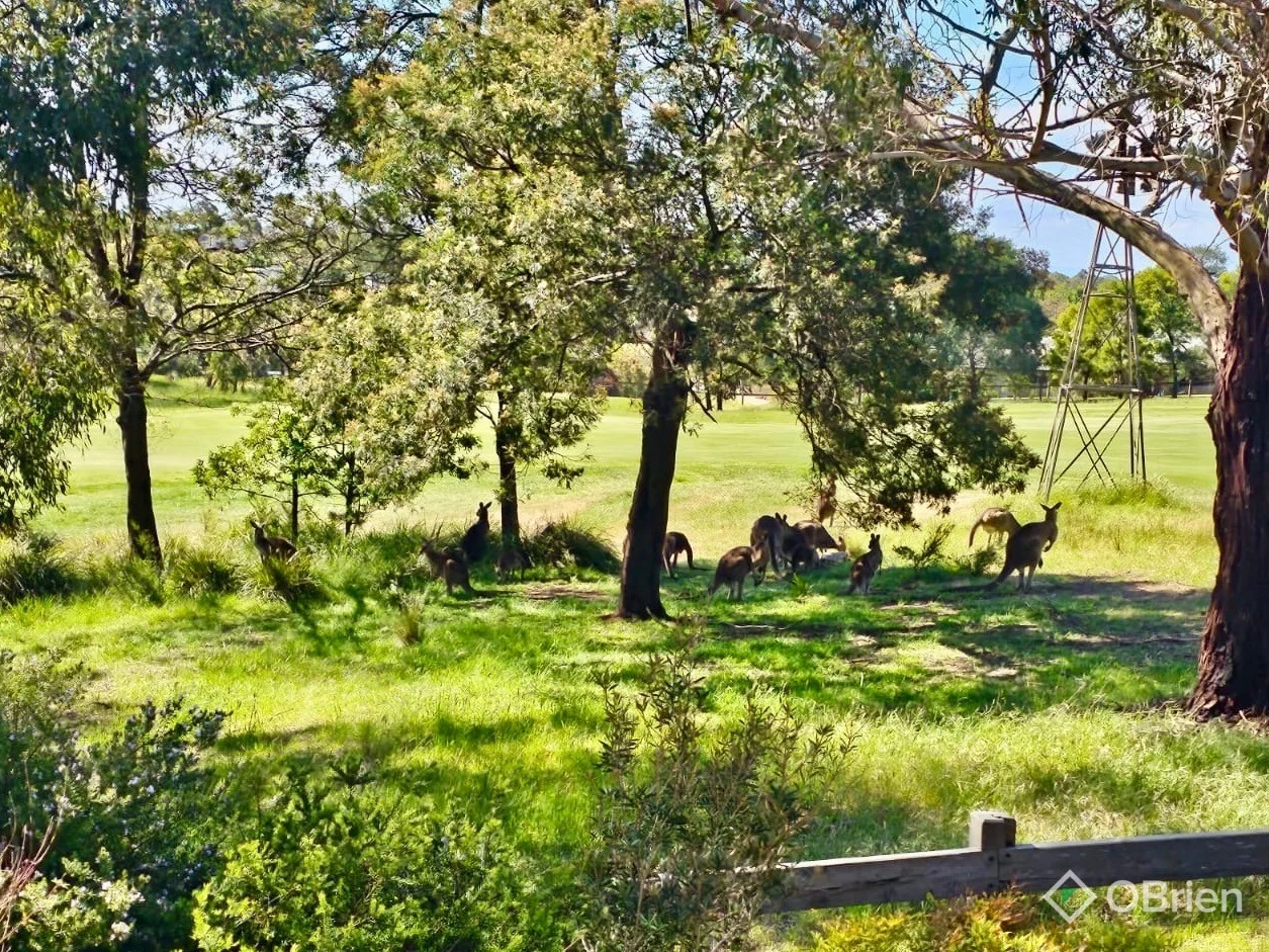 Additional image 4 of 20 Maintop Ridge, Botanic Ridge VIC 3977