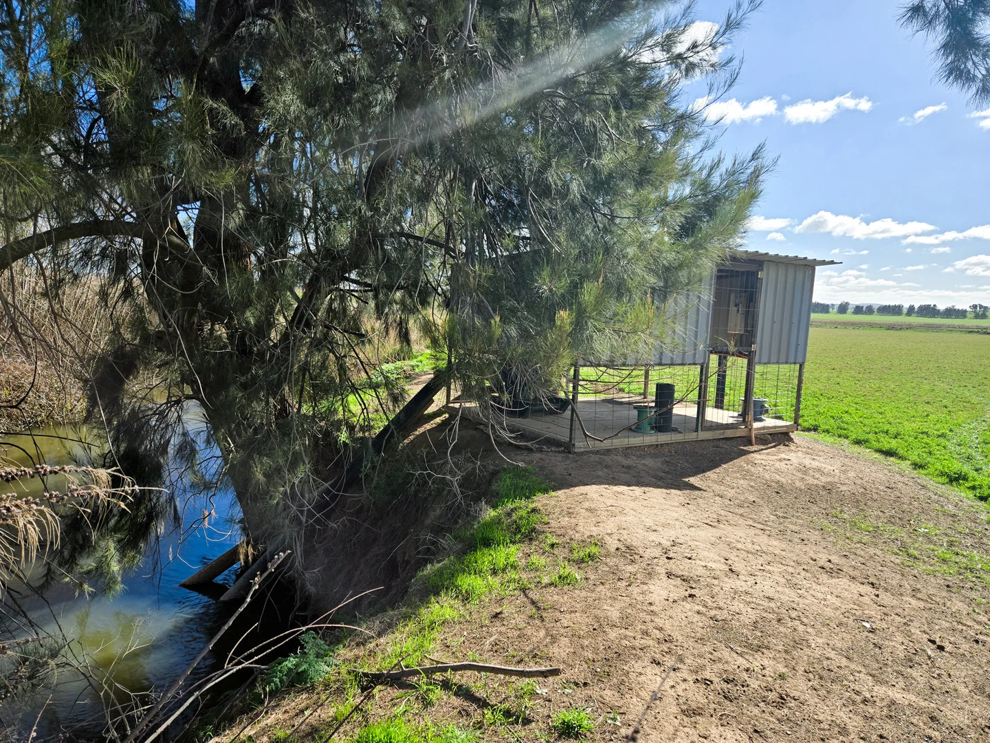 Additional image 16 of 349 Nangar Road, Canowindra NSW 2804