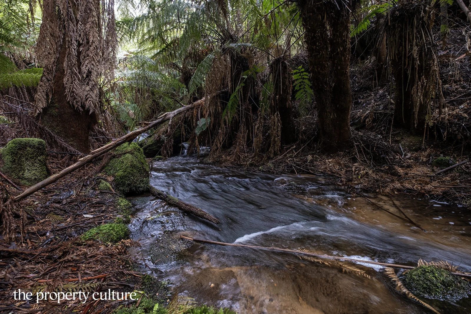 Additional image 8 of 1, 2 & 3 Bakers Creek Rd, Lucaston TAS 7109