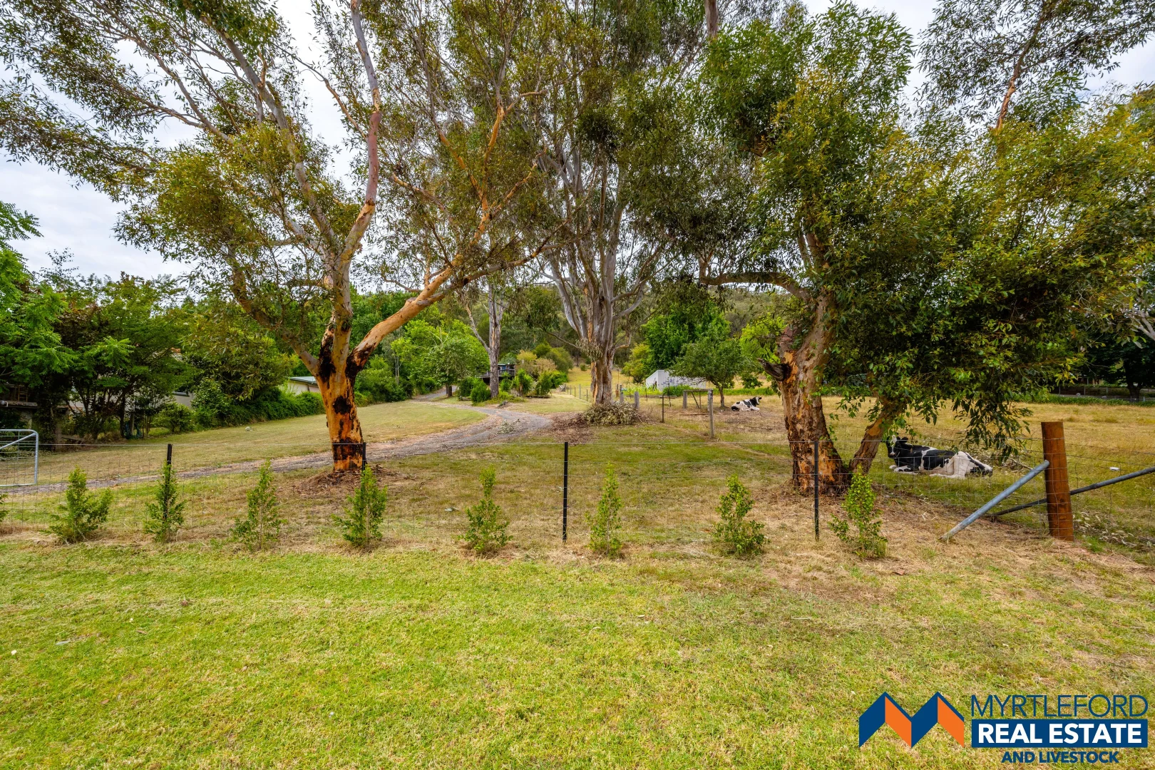 Additional image 5 of 323 Buffalo River Road, Myrtleford VIC 3737