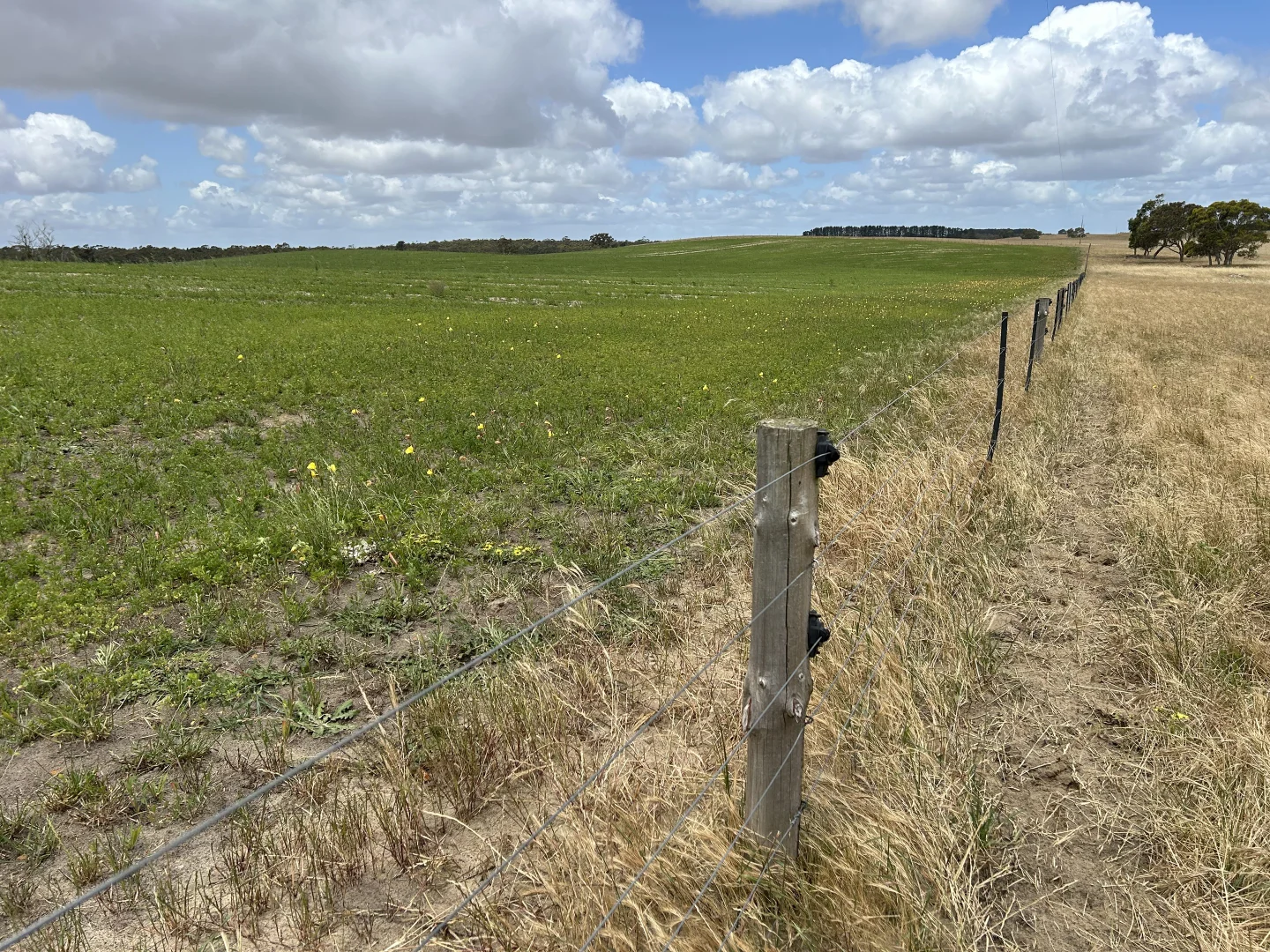Additional image 13 of Lot 189 and 323 Roy Lawries Road, Lochaber SA 5271