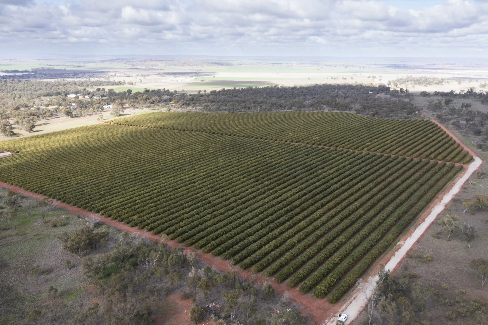 Additional image 6 of 203 Payten Road, Corbie Hill NSW 2705