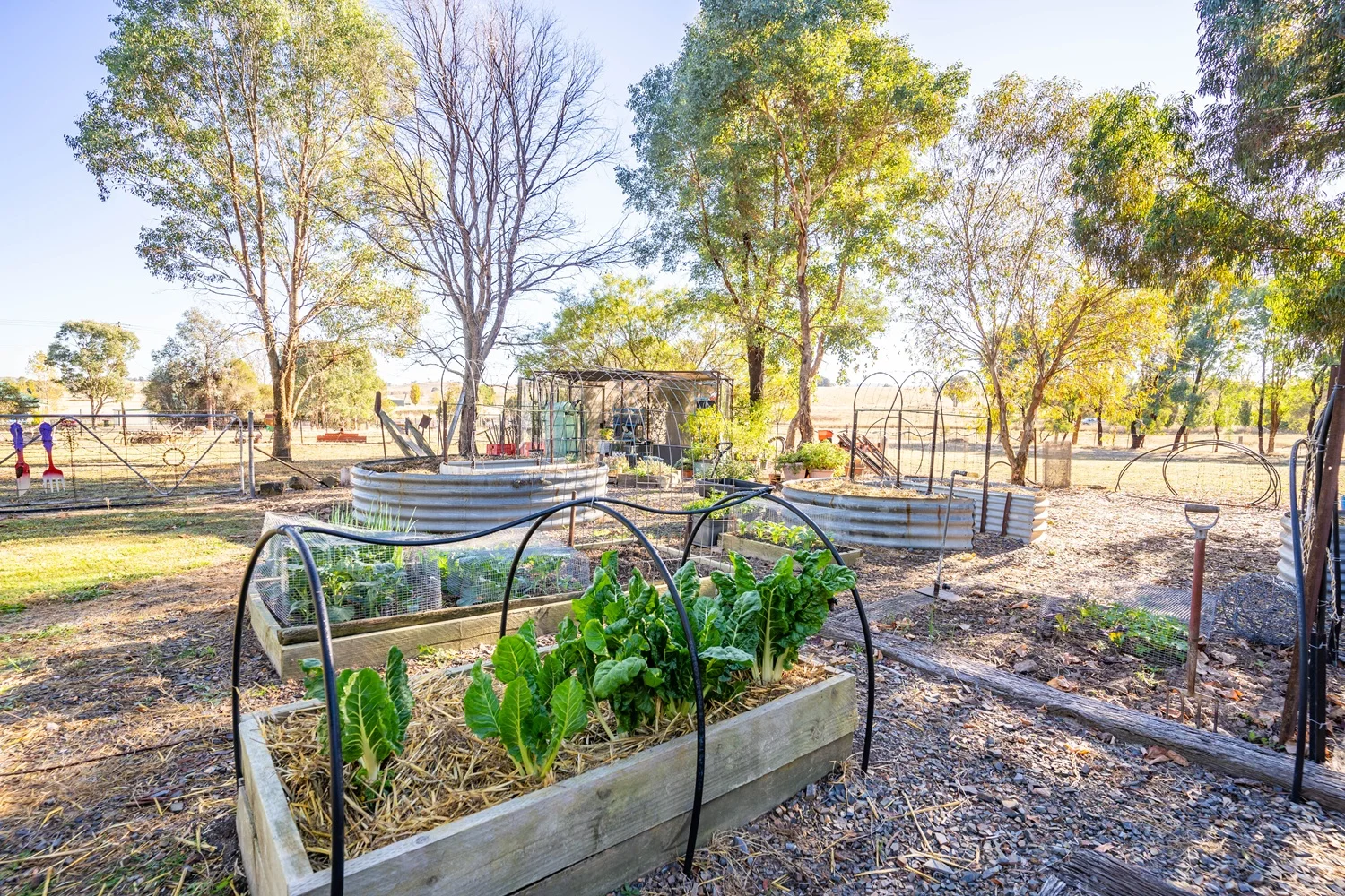 Additional image 19 of 12 Terminus Street, Lyndhurst NSW 2797