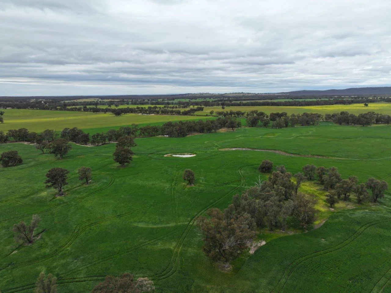 Additional image 20 of -- Brenanah-Kurting Road, Kurting VIC 3517