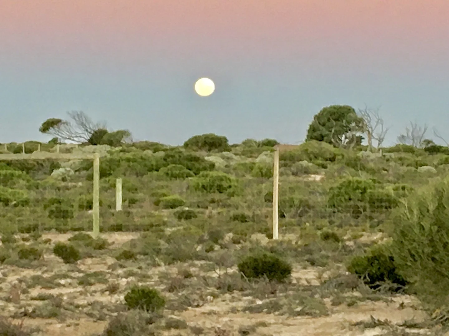 2285 Coorabie Road, Fowlers Bay SA 5690