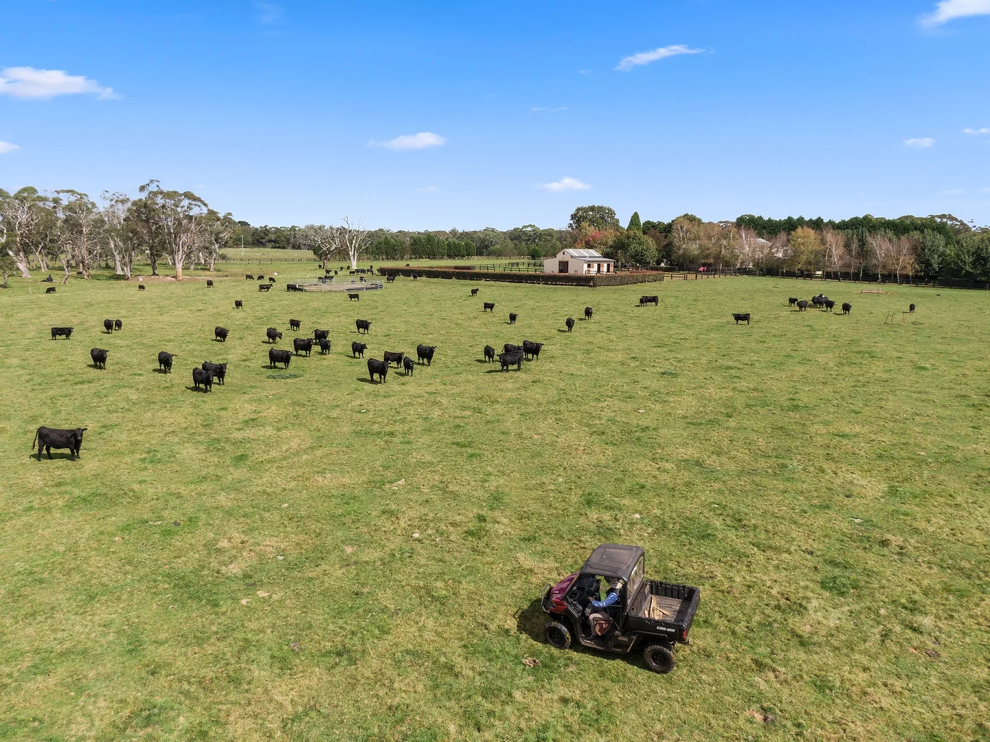 Additional image 27 of 103 Redhills Road, Fitzroy Falls NSW 2577