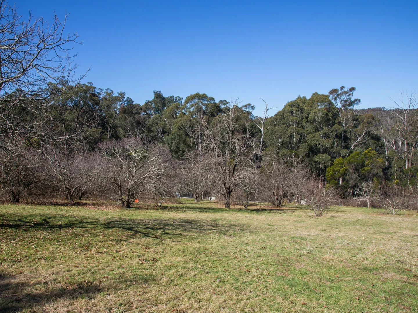 Additional image 15 of 170 Wattle Flats Road, Canyonleigh NSW 2577
