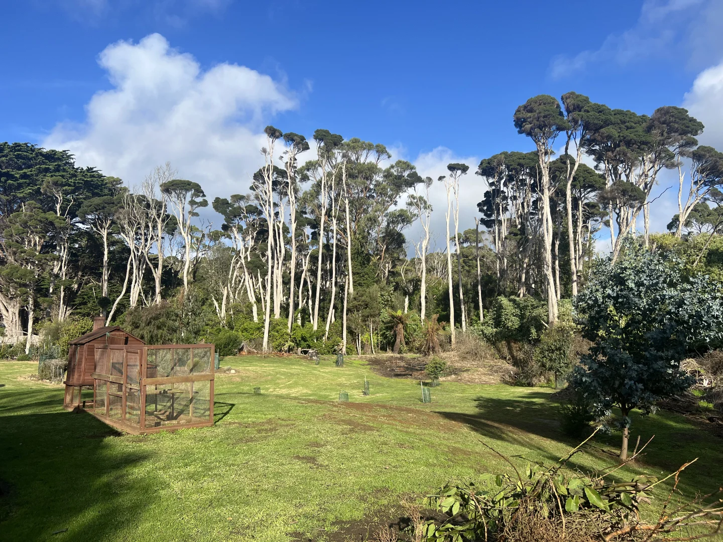 Additional image 36 of 19 Forrest Street, Naracoopa TAS 7256