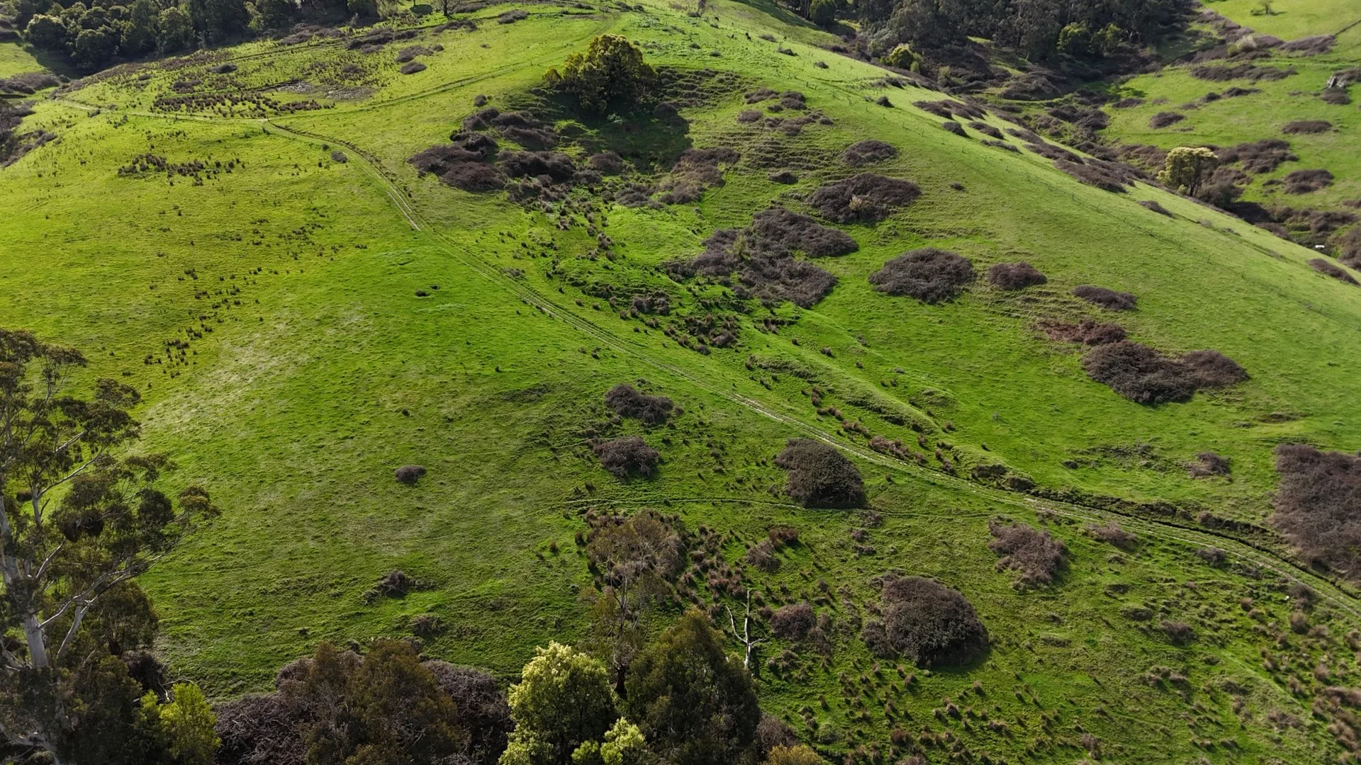 Additional image 20 of 141 BUNDERRA DRIVE, Boolarra VIC 3870