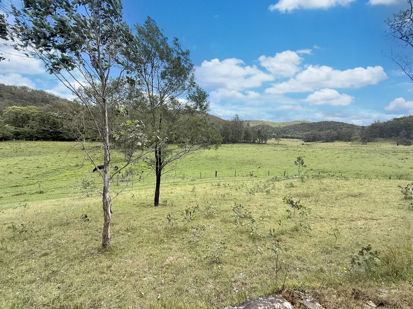 Additional image 5 of 281 Watagan Creek Rd, Laguna NSW 2325