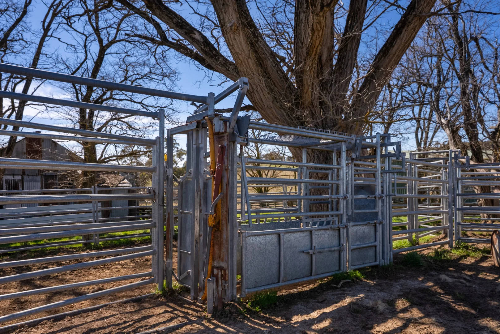 Additional image 11 of 5353 Trunkey Road, Trunkey Creek NSW 2795