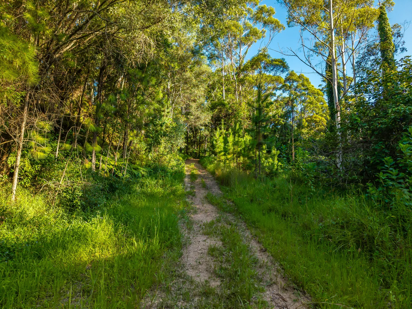 Additional image 47 of 196-276 Kaiser Road, Tamborine Mountain QLD 4272